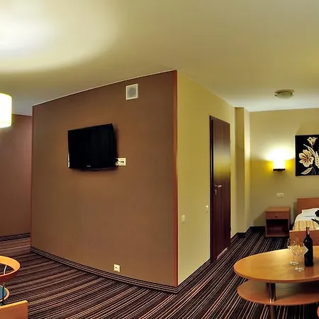 酒店 帕特纳酒店