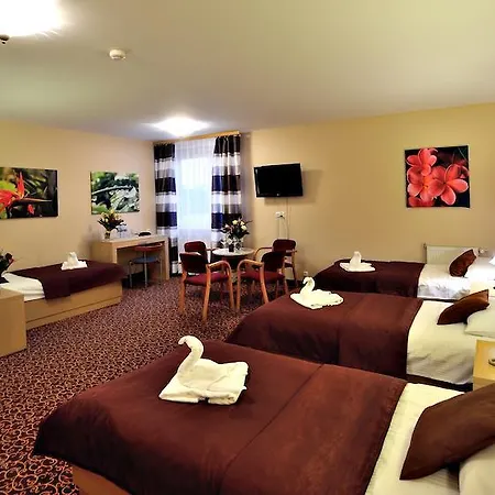 帕特纳酒店 酒店